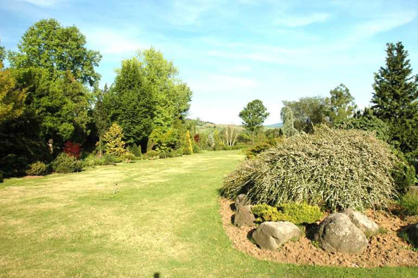 ARBORETUM (CANLI AĞAÇ MÜZESİ)