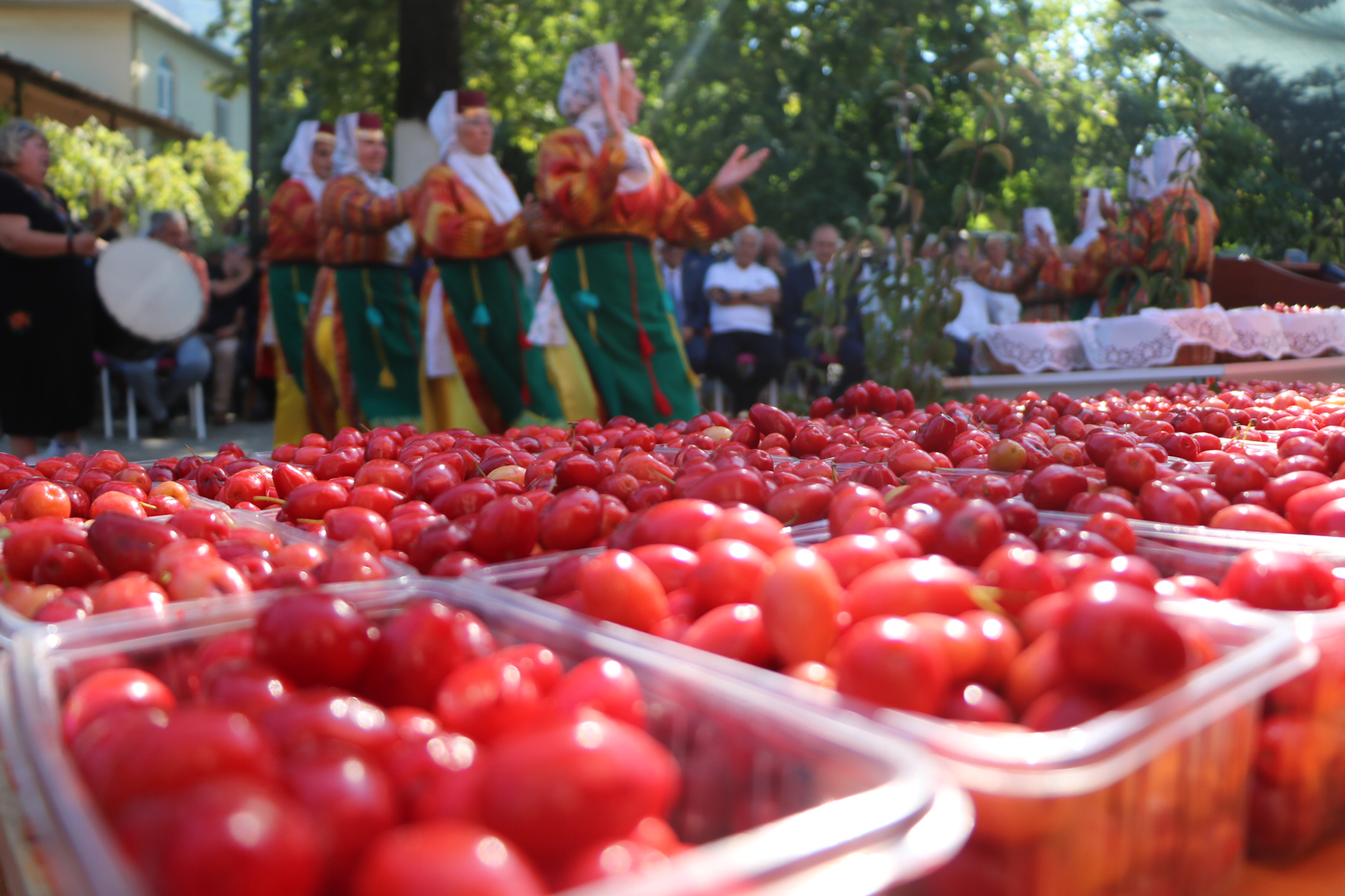 ŞENKÖY KIZILCIK FESTİVALİ