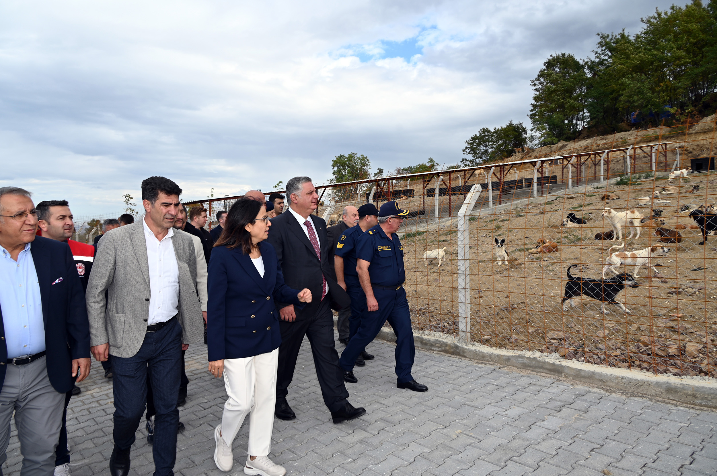SOKAK HAYVANLARI DOĞAL YAŞAM MERKEZİ