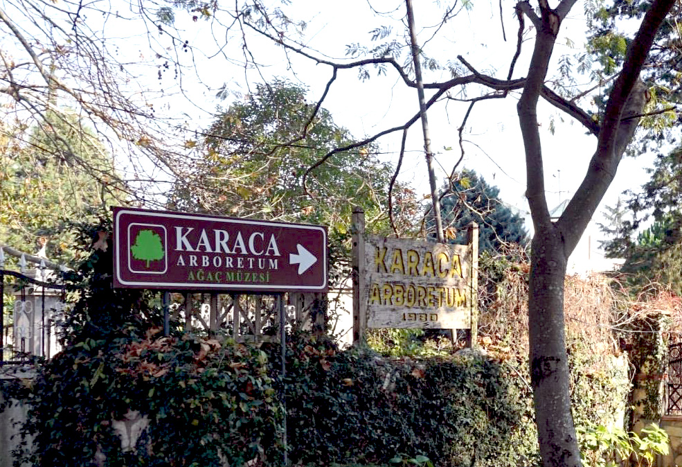 KARACA ARBORETUM CANLI AĞAÇ MÜZESİ